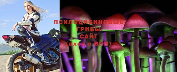 бошки Горняк