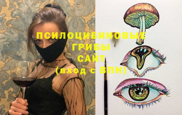 хмурый Гусь-Хрустальный