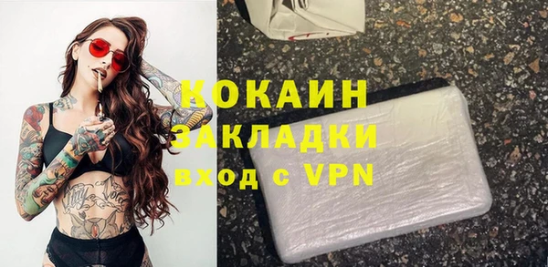 бошки Горняк