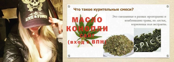 хмурый Гусь-Хрустальный