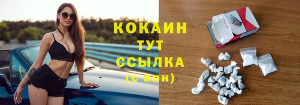 бошки Горняк
